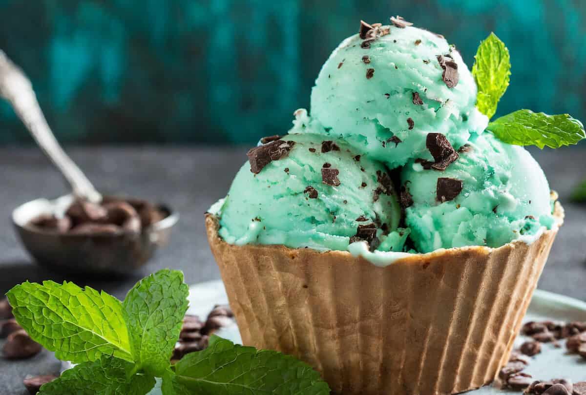 Mint Chocolate Chip Ice Cream